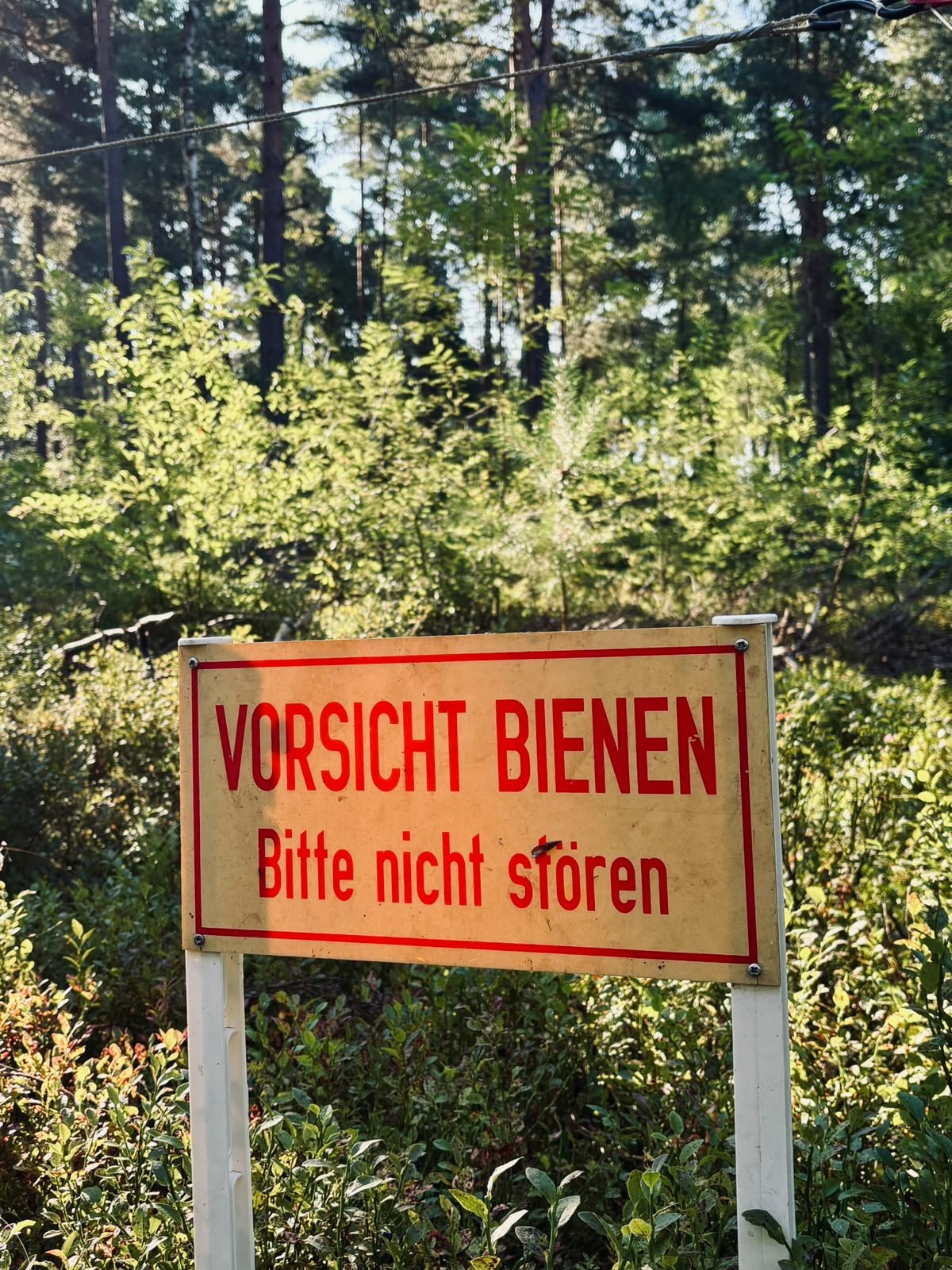 Bienenstand der Familienimkerei Wejlupek